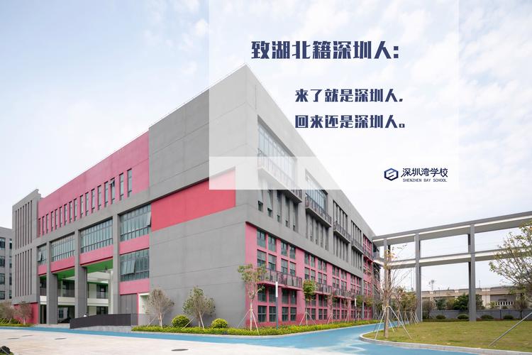 作者:深圳湾学校师生内容编辑:文薪学社:陈佳仪,林钰瑄,庄芷祺照片